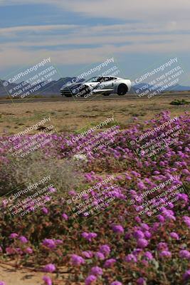 media/Jan-08-2023-SCCA SD (Sun) [[8f6a5b9391]]/Intermediate Group/Session 2 (Short Straight)/